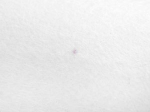 Filc / plsť metráž tloušťka 5 mm 2. jakost