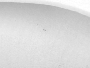 Filc / plsť metráž tloušťka 5 mm 2. jakost