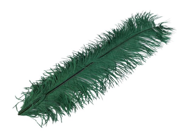Pštrosí peří délka 50-55 cm