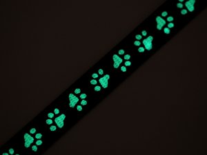 Popruh polypropylenový na vodítko / obojek, svítící ve tmě šíře 15 mm