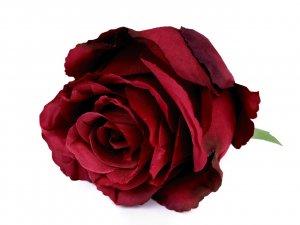 Umělý květ růže Ø70 mm - 5 červená tm.