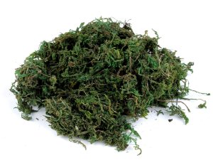 Dekorační přírodní mech 450 g