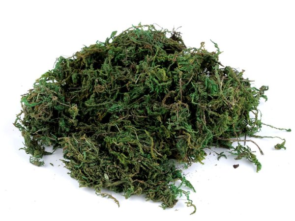 Dekorační přírodní mech 450 g