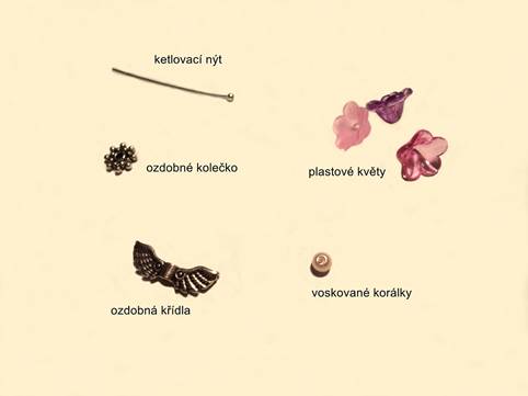 https://koralky.stoklasa.cz/projekty/p1/souborovy_system/andellondakova/PB030036x_New.jpg